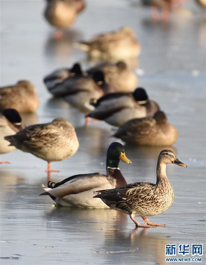 (����)(2)�������ҰѼ��԰