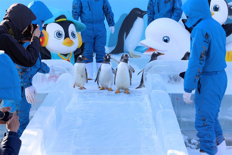 (����)(1)�ϼ���조���ϼҡ�