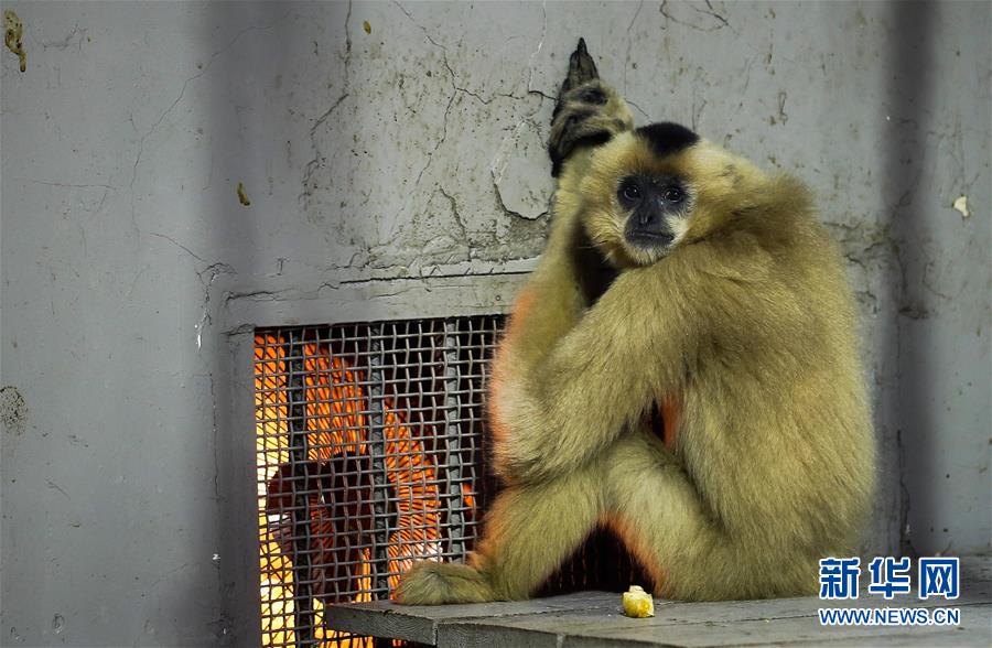 (����)(1)������Ϯ �ɶ�����԰С����ȡů����