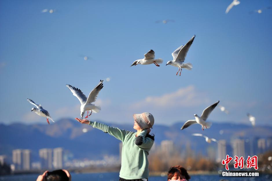 �������»�ů ����Ÿ�Ŷ�ɹ̫��