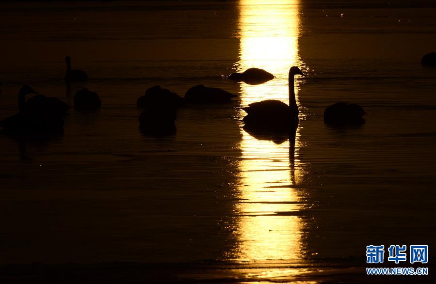 (��̬)(3)����ʥ��������