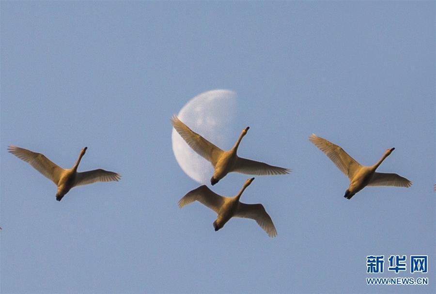 #(�ӡ���)(1)��ӳ����