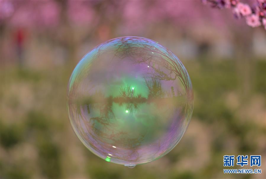 #(�ӡ���)(2)������Ĵ�ɫ