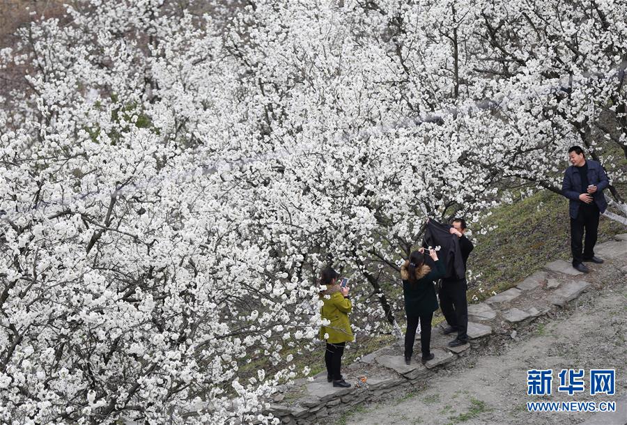 (����)(1)���ա�ѩ���� ӣ�һ���