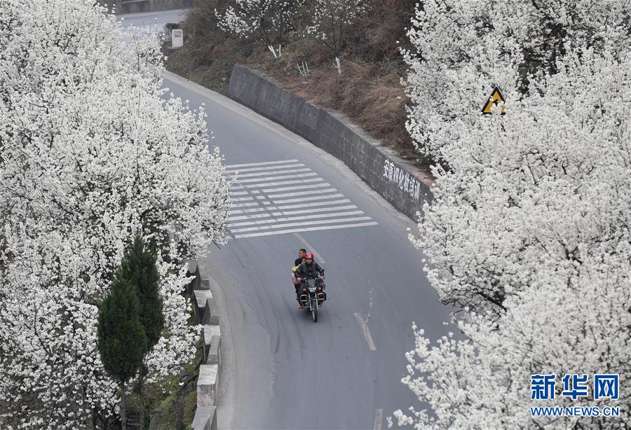 (����)(2)���ա�ѩ���� ӣ�һ���