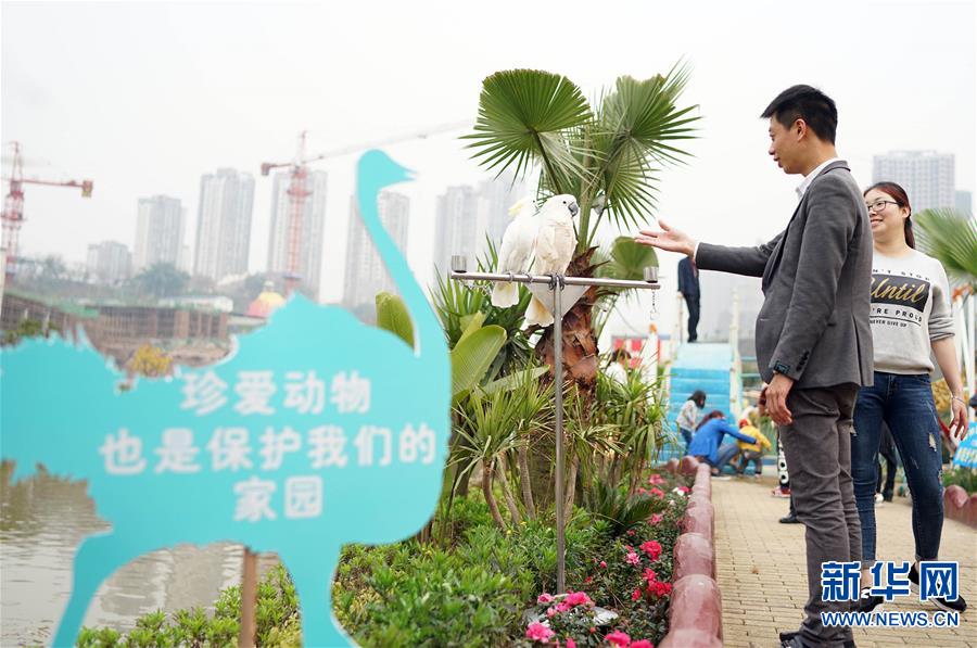 (����)(2)�붯�����ܽӴ�