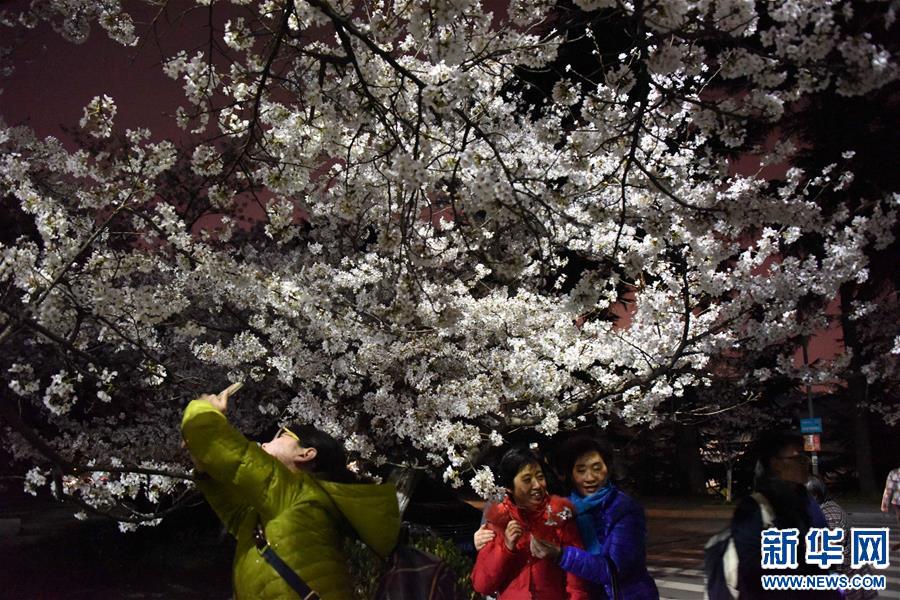 (����)(1)���ҹ��ӣ��