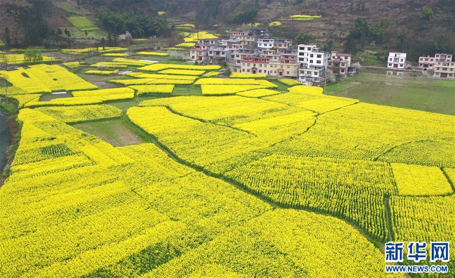 #(��̬)(4)�Ͳ˻������۴�