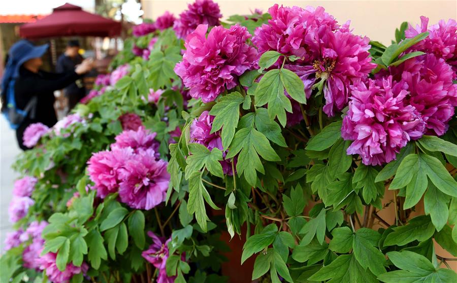 (����)(2)���ϳ���:��ů����������