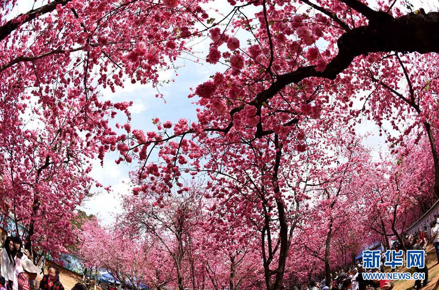 (���)(1)������Բͨӣ����������