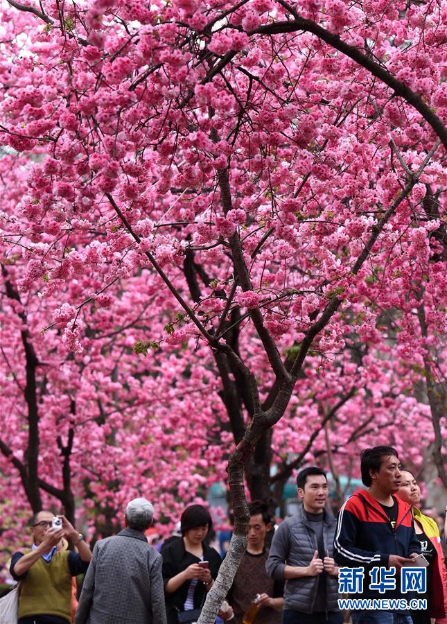 (���)(3)������Բͨӣ����������