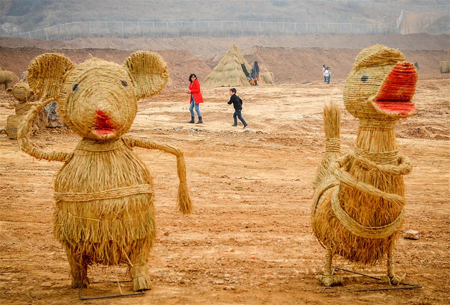 (����)(3)��������:�����ϵĵ�����������