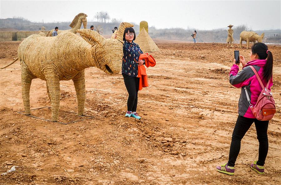 (����)(2)��������:�����ϵĵ�����������