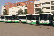 timg-(7).jpg