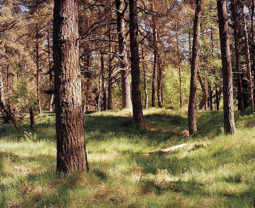 �¹��ѻ������������� ��˵99%�����Ҳ���