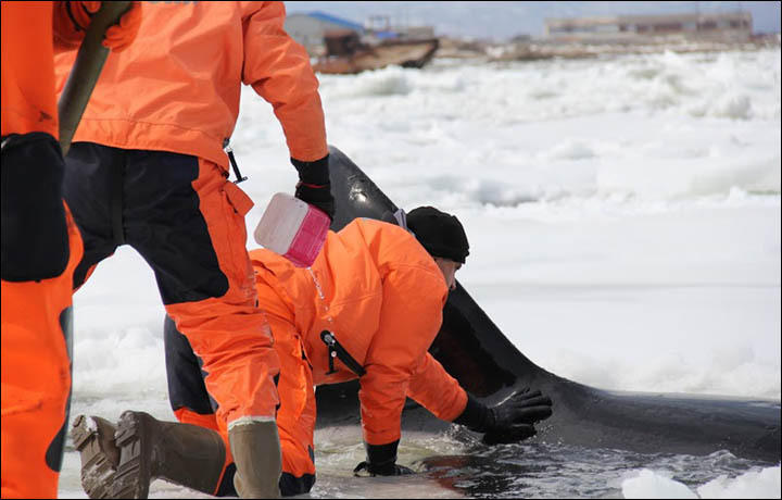 ��ҳ���Ļ������� ��Ԯ��Ա�����Ʊ�