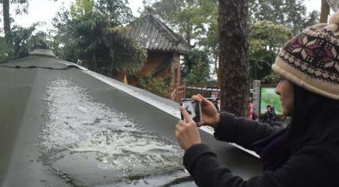 ����Ϊ������41�����״ν�ѩ������������ѩ(ͼ)