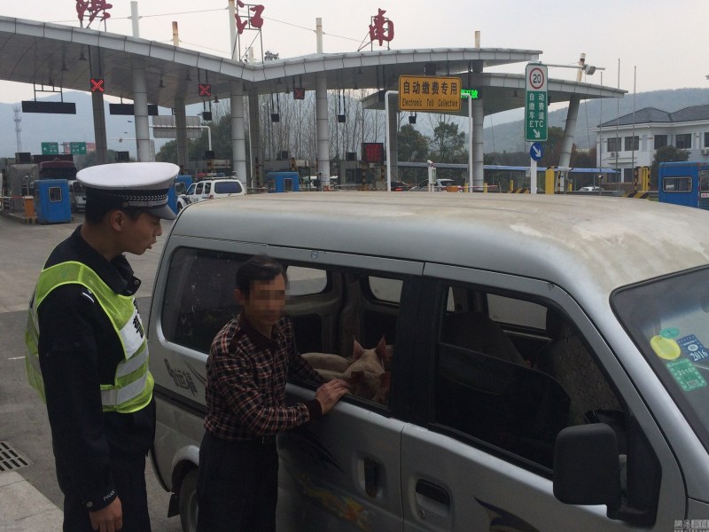 ��������ΪʡǮ��װ���� ����20ֻС����