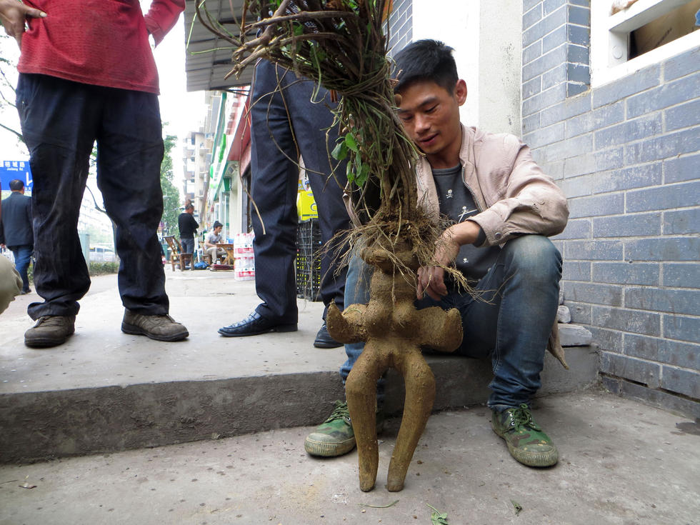 ������Ů���������� ����1200Ԫ���ֽ���