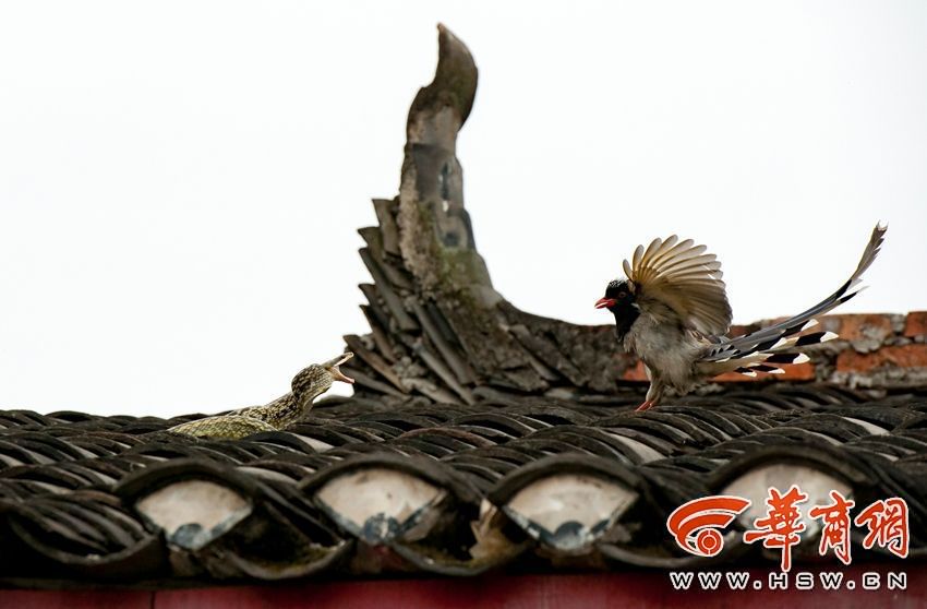 ũ���ݶ�����������ġ�������ս��