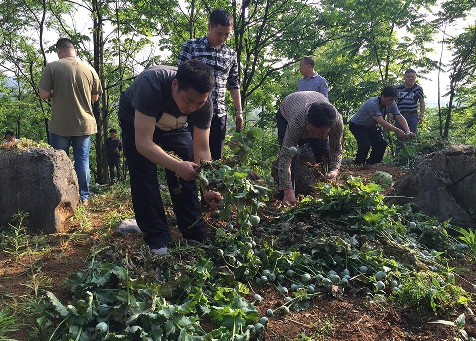 ����2����Ƿ���ֲ��ڱ�����(��ͼ)