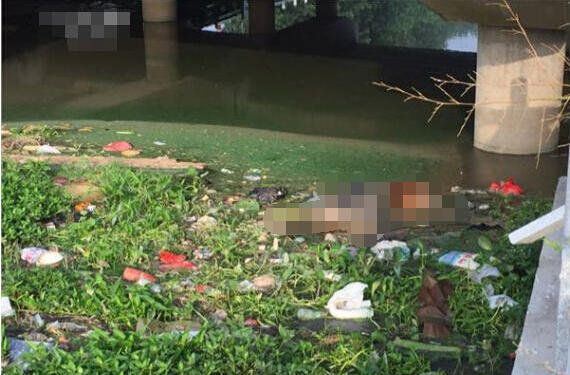 �Ŷ��·�����������ʬ��