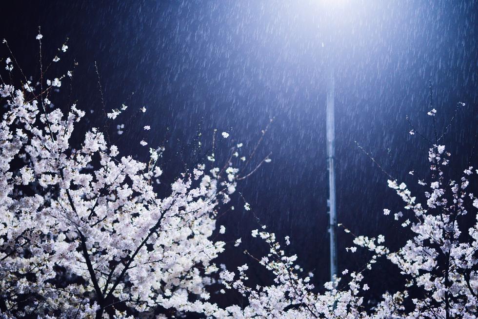 ���ѩӣ��������ӣ��ѩ