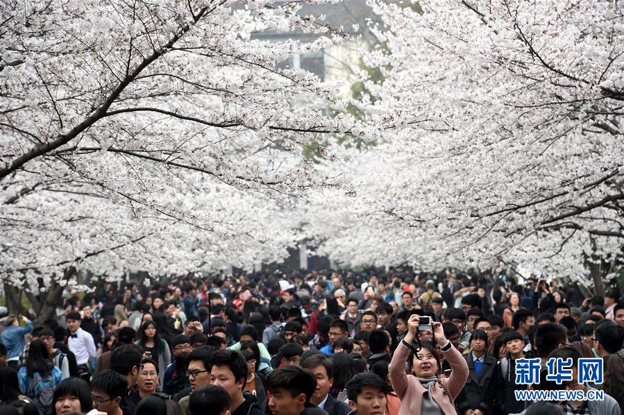 �Ͼ�������У԰ӣ����