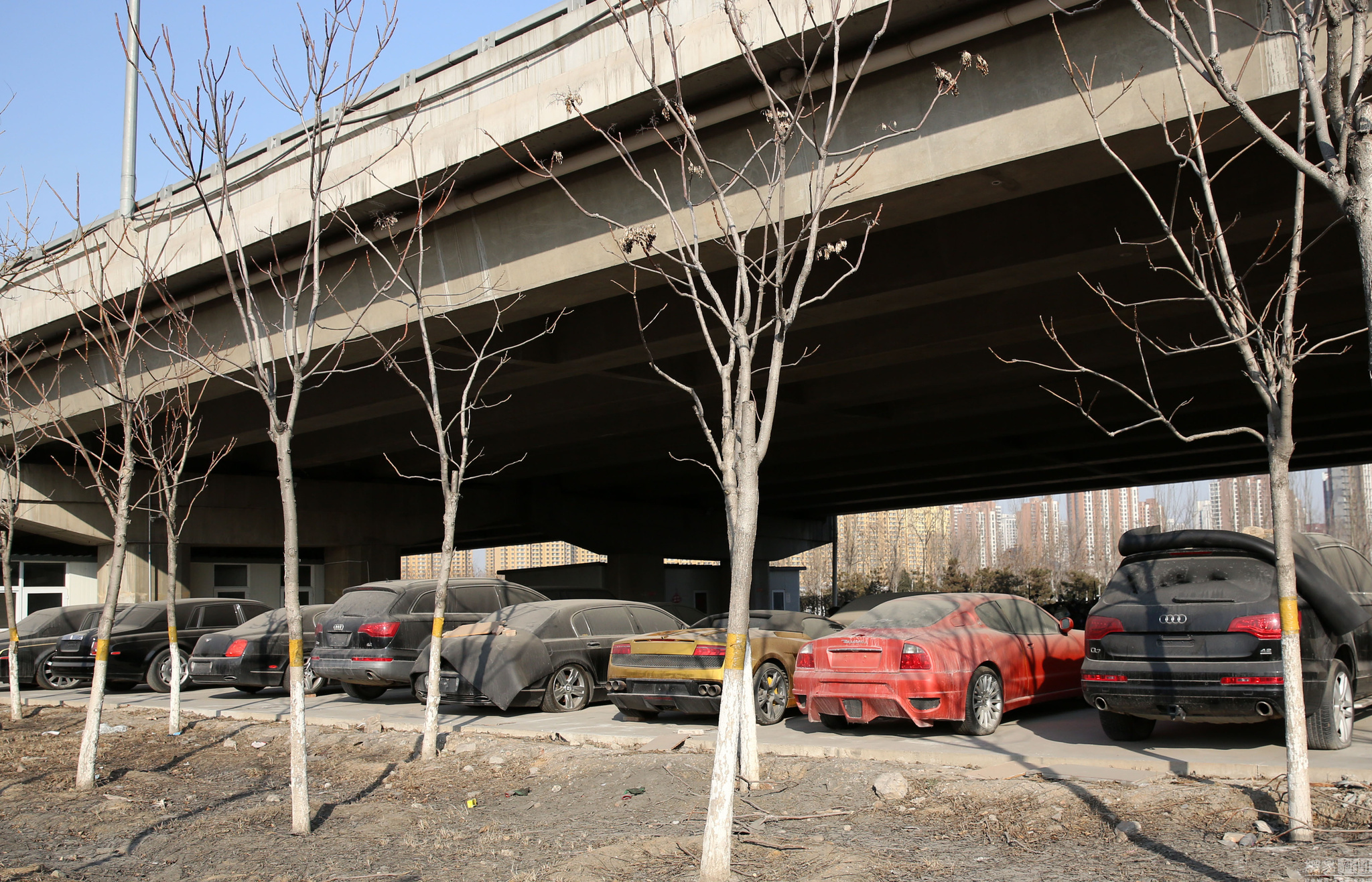 ����ĳ�����ֺ��������⡱ ���������ҳ�