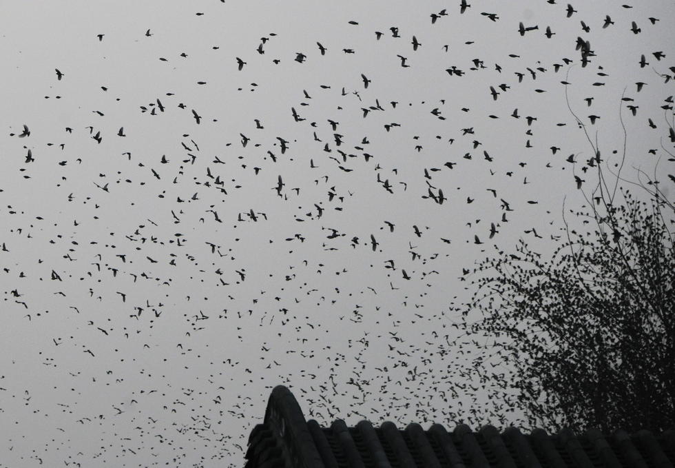 ������ͻȪ�֡��������족����