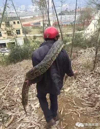 ����һ������46�ﳬ�������� �����а�������
