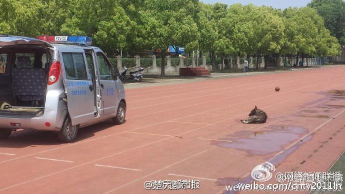 �����人��У������ѹ���˹� ������4��