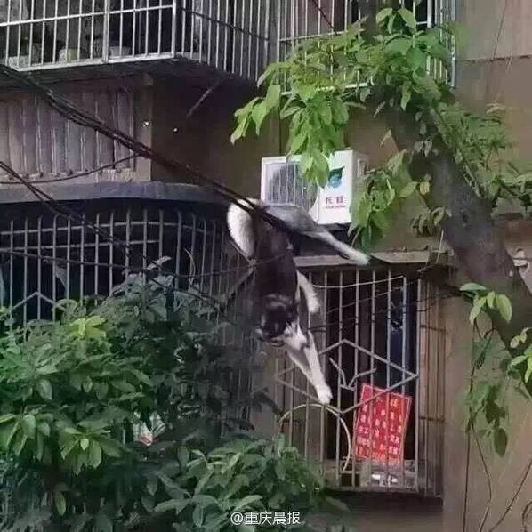 ����һ��ʿ��ʧ��׹¥ ���ѣ�Ц��£��