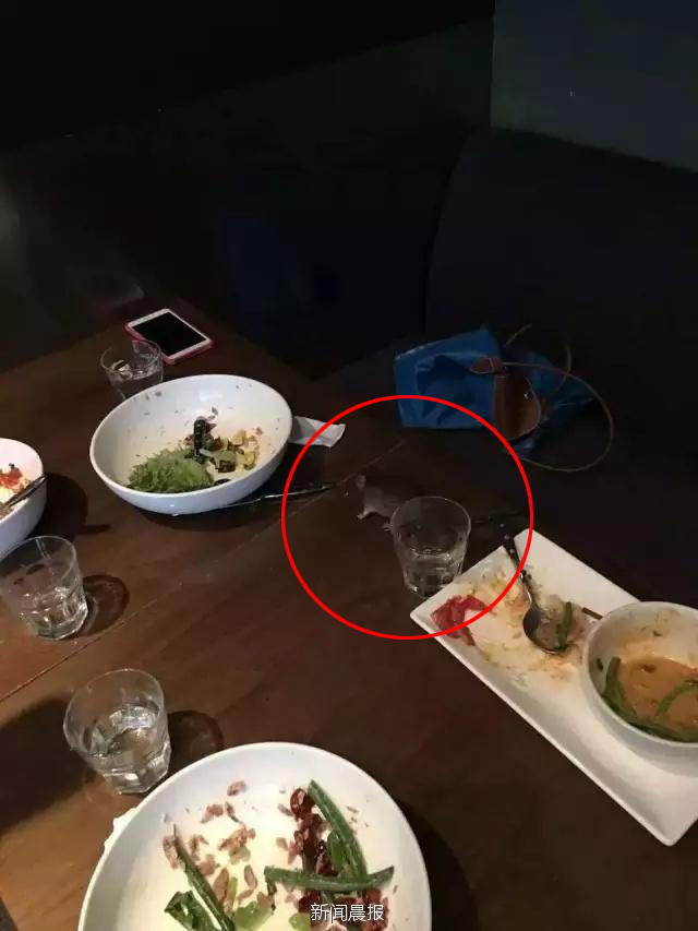 �Ϻ������˿;Ͳ�ʱ�������䡱��������